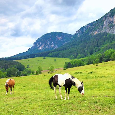 Glamping Hohe Wand - Zelt Mit Sternenfenster Und Whirlpool Ξενοδοχείο Maiersdorf Εξωτερικό φωτογραφία